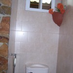 Toilet with bidet and small window above.
